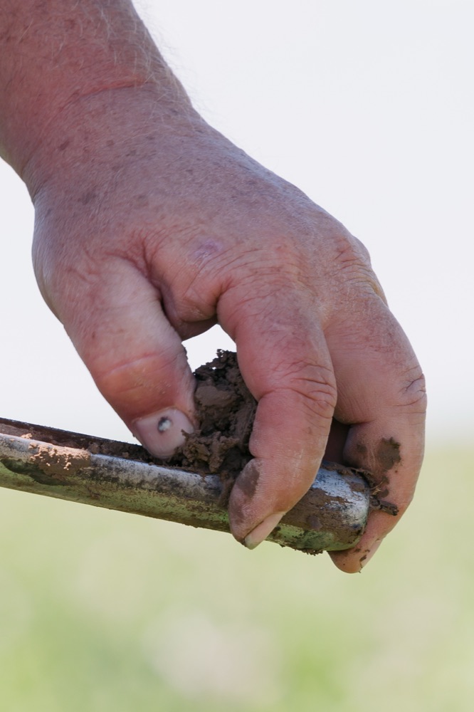 A close-up of a hand holding a sample of dark soil
